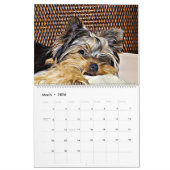Yorkshire Terrier Niedlich Yorkies 2024 Calendar Kalender (Mär 2026)