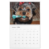 Yorkshire Terrier Niedlich Yorkies 2024 Calendar Kalender (Jan 2026)