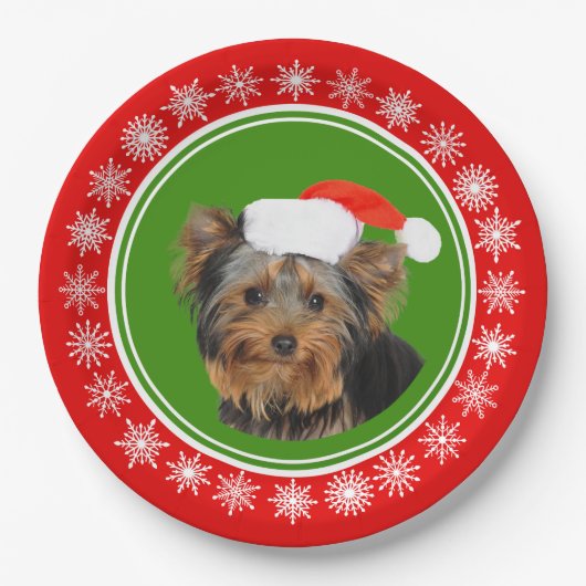 Yorkshire-Terrier-niedliches Pappteller (Vorderseite)