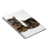Yorkshire Terrier Notizblock (Rechte Seite)