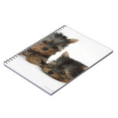 Yorkshire Terrier Notizblock (Linke Seite)