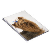 Yorkshire Terrier Notizblock (Rechte Seite)