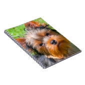 Yorkshire Terrier Notizblock (Rechte Seite)