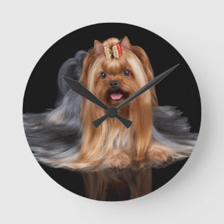 Yorkshire Terrier on black Runde Wanduhr