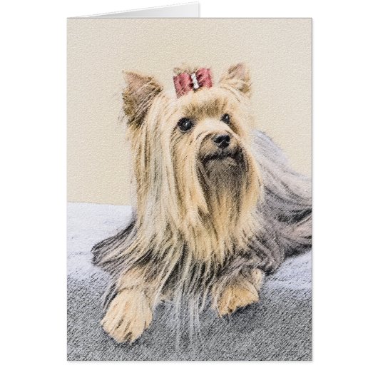 Yorkshire Terrier Painting - Niedliche Original Do (Vorne)
