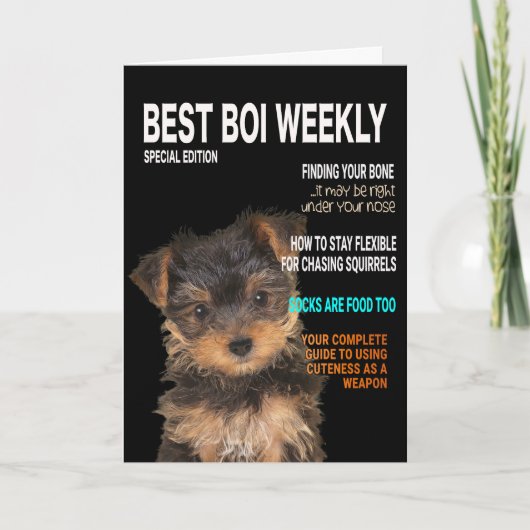 Yorkshire Terrier Parody Magazine Cover Card Karte (Vorderseite)