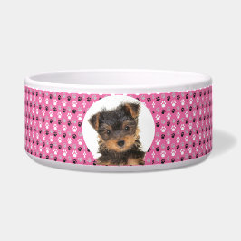 Yorkshire Terrier Personalisiert Foto & Name Dog Napf