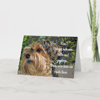Yorkshire Terrier Pet Memory Digital Art