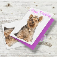 Yorkshire Terrier Pink Niedlich Yorkie Happy Birth