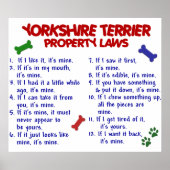 YORKSHIRE TERRIER PL2 POSTER (Vorne)