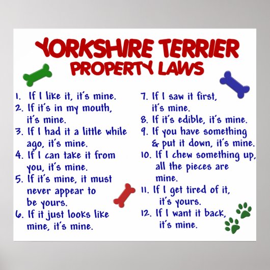 YORKSHIRE TERRIER PL2 POSTER (Vorne)