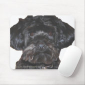 Yorkshire Terrier Poodle Mix Mousepad (Mit Mouse)