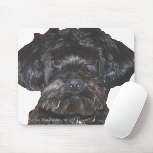 Yorkshire Terrier Poodle Mix Mousepad (Mit Mouse)