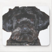 Yorkshire Terrier Poodle Mix Mousepad (Vorne)