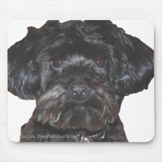 Yorkshire Terrier Poodle Mix Mousepad (Vorne)
