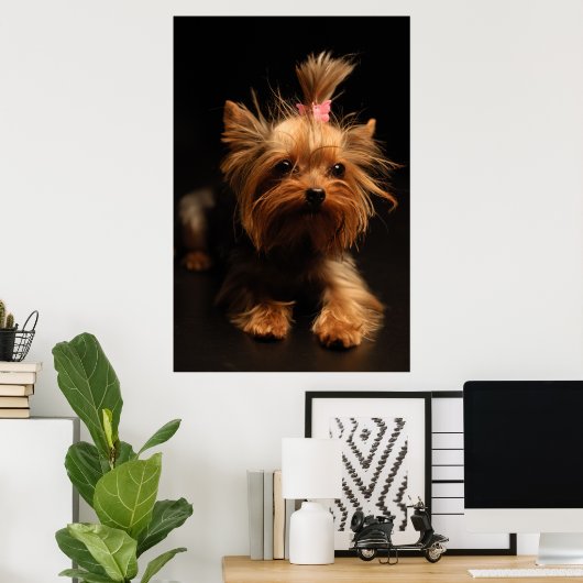 Yorkshire Terrier Portrait Poster (Heimbüro)