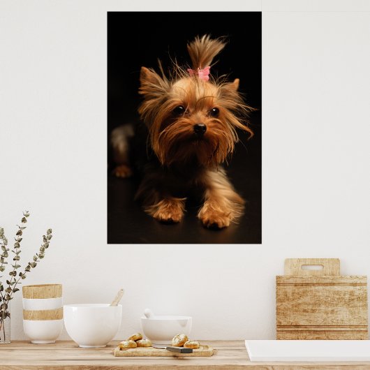 Yorkshire Terrier Portrait Poster (Küche)