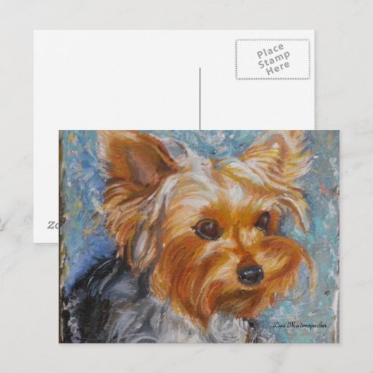 Yorkshire Terrier Post Card Postkarte (Vorne/Hinten)