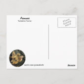 Yorkshire Terrier Postcard Postkarte (Rückseite)