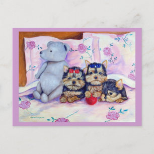 Yorkshire Terrier Postcard Postkarte
