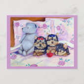 Yorkshire Terrier Postcard Postkarte (Vorderseite)