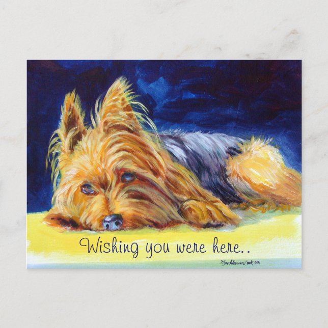 Yorkshire Terrier Postcards Postkarte (Vorderseite)