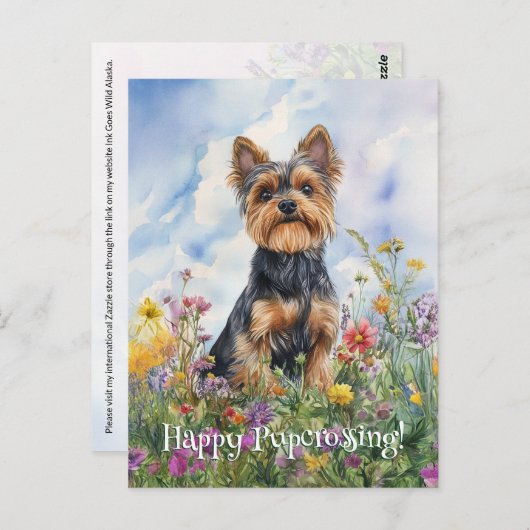 Yorkshire Terrier Postcross - Postcard Postkarte (Vorne/Hinten)