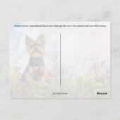 Yorkshire Terrier Postcross - Postcard Postkarte (Rückseite)