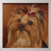 Yorkshire Terrier Poster (Vorne)