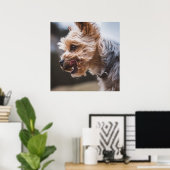 Yorkshire Terrier Poster (Heimbüro)