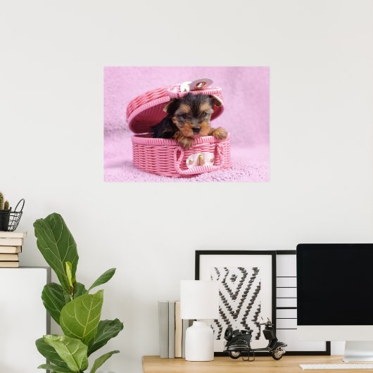 Yorkshire Terrier Poster (Heimbüro)