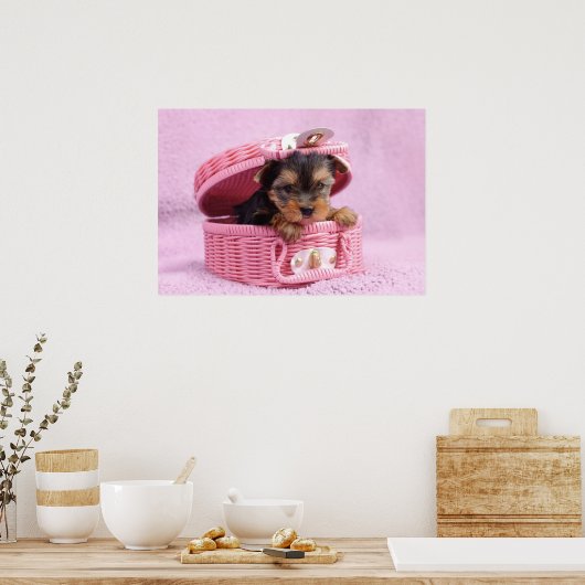 Yorkshire Terrier Poster (Küche)