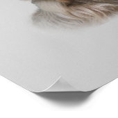 Yorkshire Terrier Poster (Ecke)