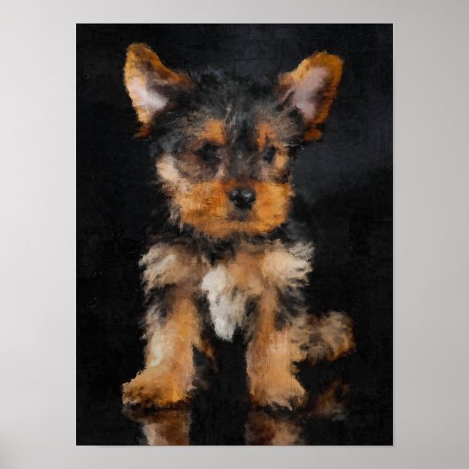Yorkshire Terrier Poster (Vorne)