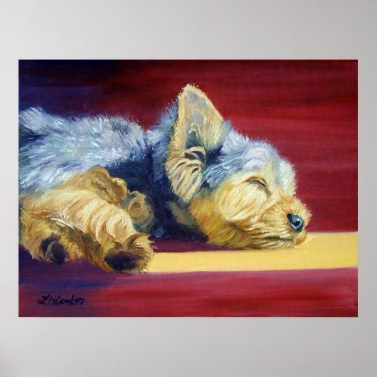 Yorkshire Terrier Poster (Vorne)