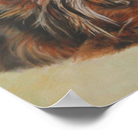 Yorkshire Terrier Poster (Ecke)