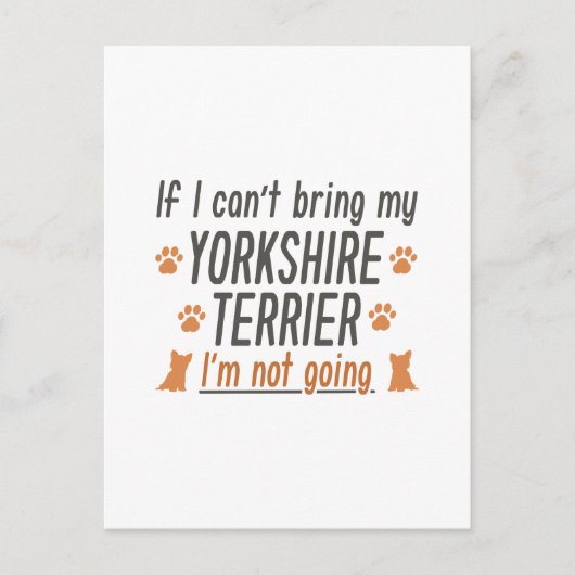 Yorkshire Terrier Postkarte (Vorderseite)