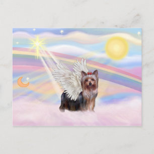 Yorkshire Terrier Postkarte