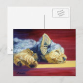 Yorkshire Terrier Postkarte (Vorne/Hinten)