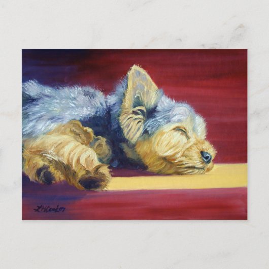 Yorkshire Terrier Postkarte (Vorderseite)
