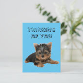YORKSHIRE TERRIER POSTKARTE (Stehend Vorderseite)