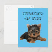 YORKSHIRE TERRIER POSTKARTE (Vorne/Hinten)