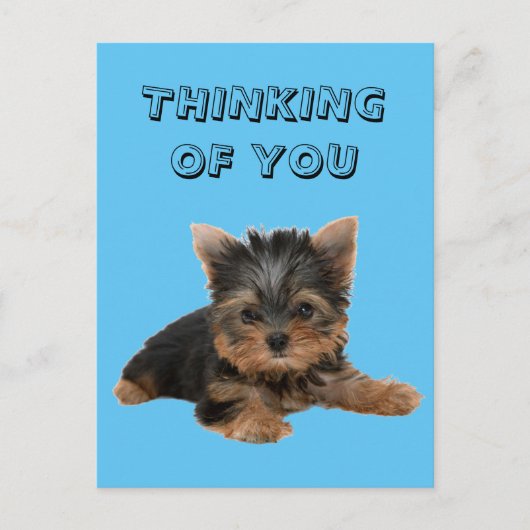 YORKSHIRE TERRIER POSTKARTE (Vorderseite)