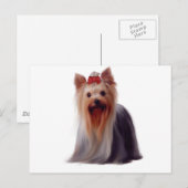 Yorkshire Terrier Postkarte (Vorne/Hinten)