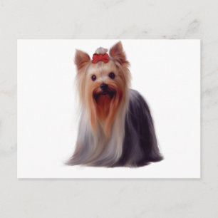 Yorkshire Terrier Postkarte