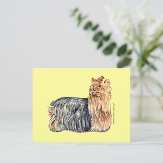 Yorkshire Terrier Postkarte (Stehend Vorderseite)