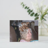 Yorkshire Terrier Postkarte (Stehend Vorderseite)