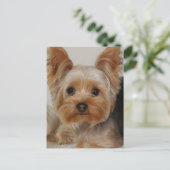 Yorkshire Terrier Postkarte (Stehend Vorderseite)