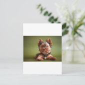 Yorkshire Terrier Postkarte (Stehend Vorderseite)