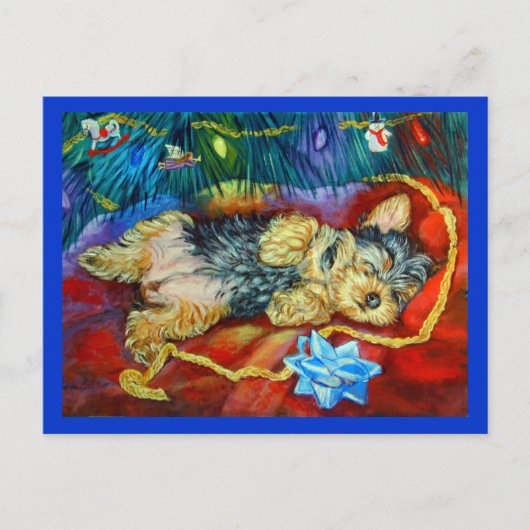 Yorkshire Terrier Postkarte (Vorderseite)